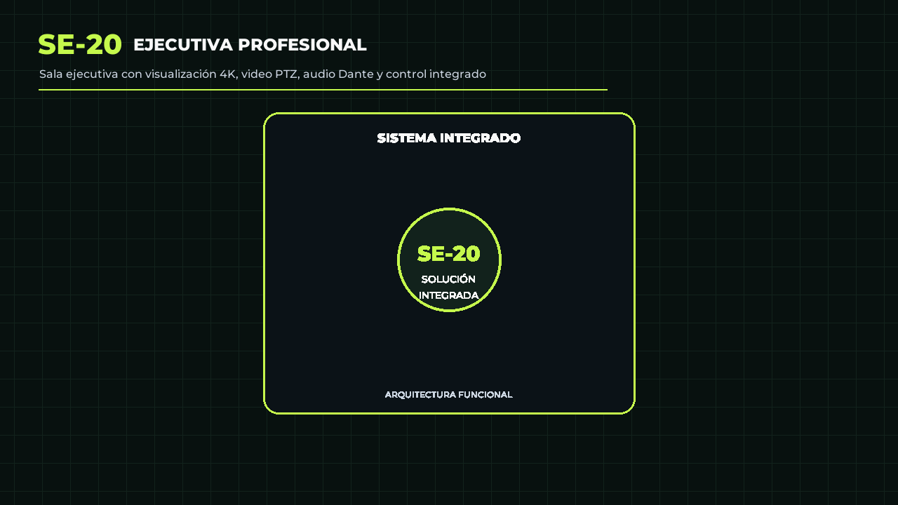 Animación referencial de Ejecutiva SE-20 Profesional